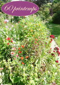 Un jardin color&eacute; pour f&ecirc;ter ses 60 ans